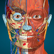 Anatomy Learning - 3D Anatomy(Mod, Unlocked) icon