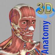 3D Anatomy(Mod, Free purchase) icon